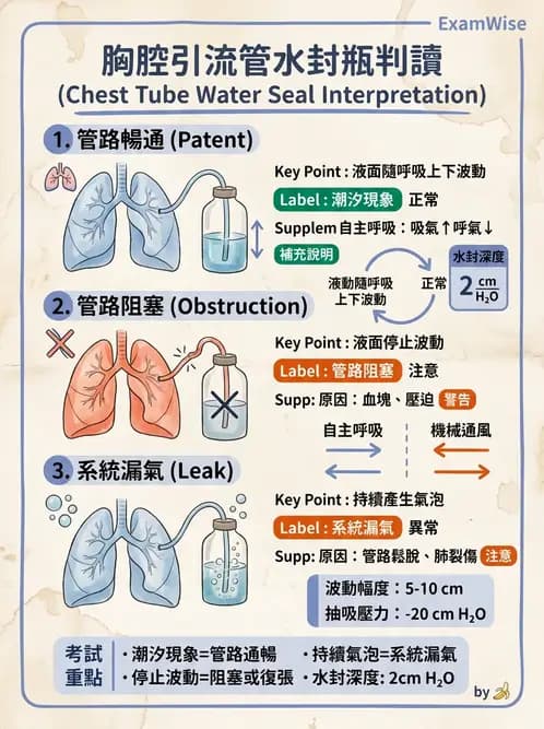 護理師 - 呼吸衰竭與胸腔護理 - AI 圖文解析預覽
