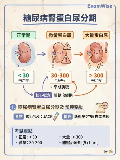 護理師 - 糖尿病併發症護理 - AI 圖文解析預覽
