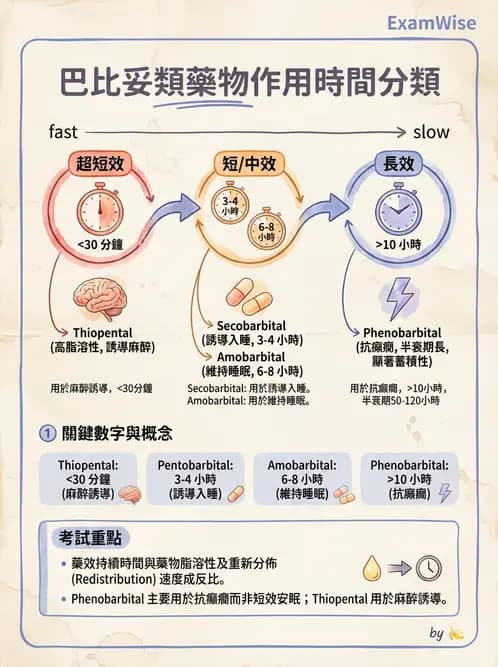 護理師 - 精神科藥物 - AI 圖文解析預覽