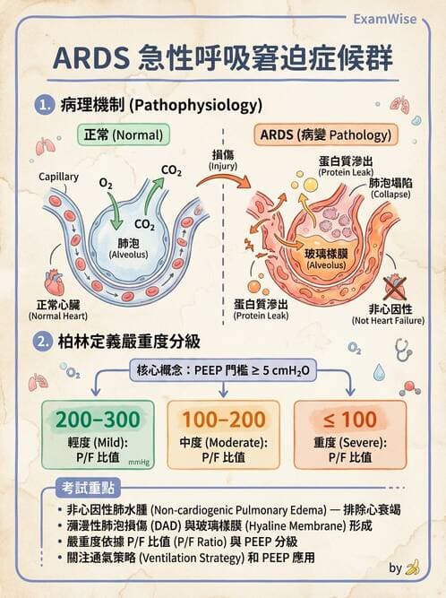 護理師 - 呼吸、循環系統 - AI 圖文解析預覽
