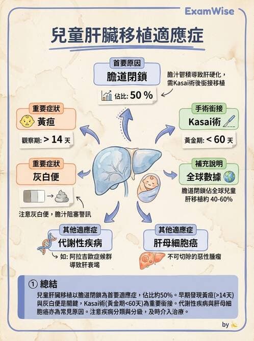 護理師 - 消化及肝膽/胰系統 - AI 圖文解析預覽
