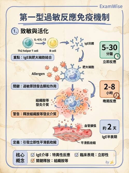 護理師 - 免疫系統組成、抗原-抗體、補體、先天性免疫 - AI 圖文解析預覽