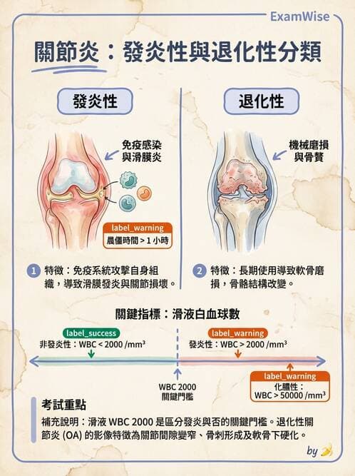 護理師 - 骨骼肌肉系統 - AI 圖文解析預覽