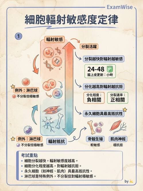 護理師 - 發炎、細胞傷害及修復 - AI 圖文解析預覽