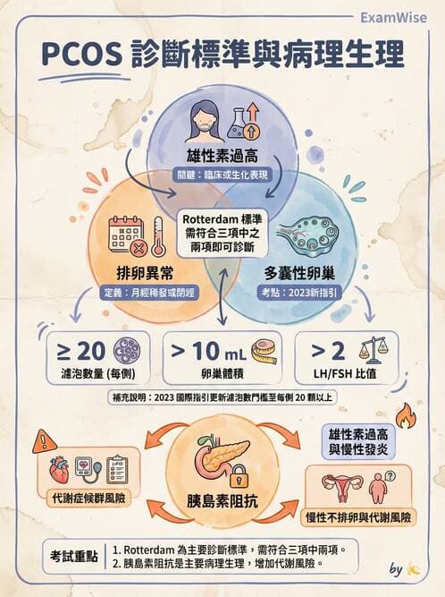 護理師 - 神經及內分泌系統 - AI 圖文解析預覽