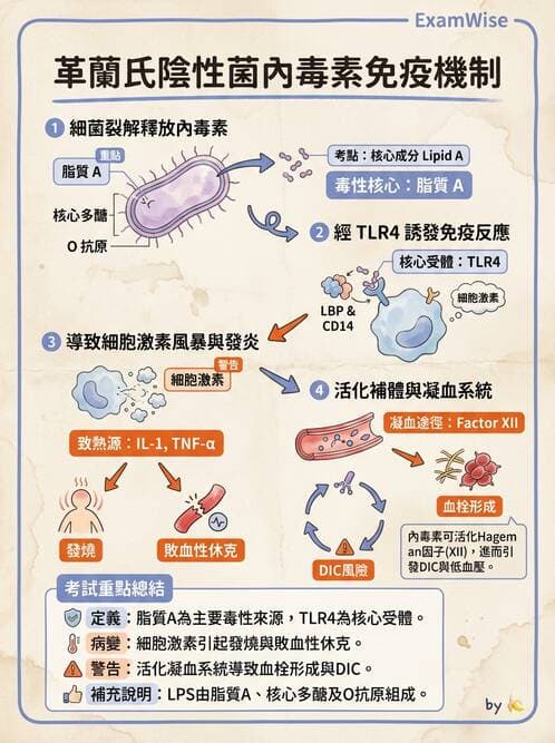 護理師 - 總論 - AI 圖文解析預覽