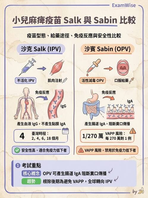 護理師 - RNA 病毒、新興病毒 - AI 圖文解析預覽