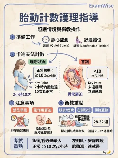 護理師 - 胎兒發育與監測評估 - AI 圖文解析預覽