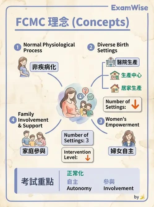 護理師 - 孕期營養心理與衛生政策 - AI 圖文解析預覽