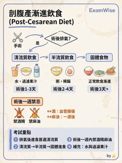 護理師 - 產後生理恢復與護理 - AI 圖文解析預覽