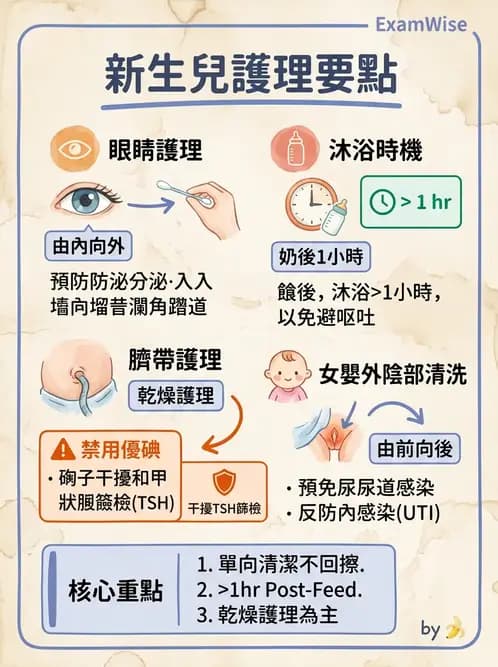護理師 - 新生兒日常照護與篩檢 - AI 圖文解析預覽