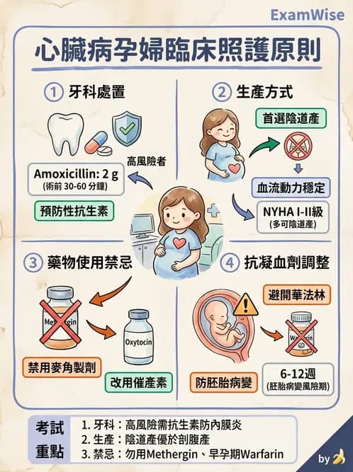 護理師 - 高危險妊娠 - AI 圖文解析預覽