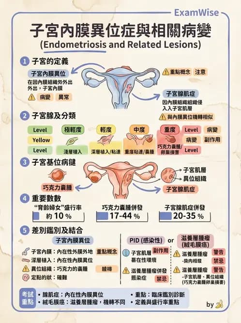 護理師 - 婦科腫瘤與感染 - AI 圖文解析預覽