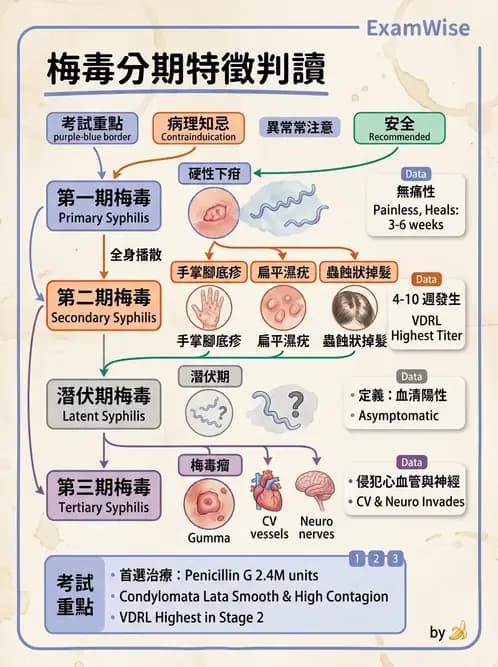護理師 - 婦科腫瘤與感染 - AI 圖文解析預覽