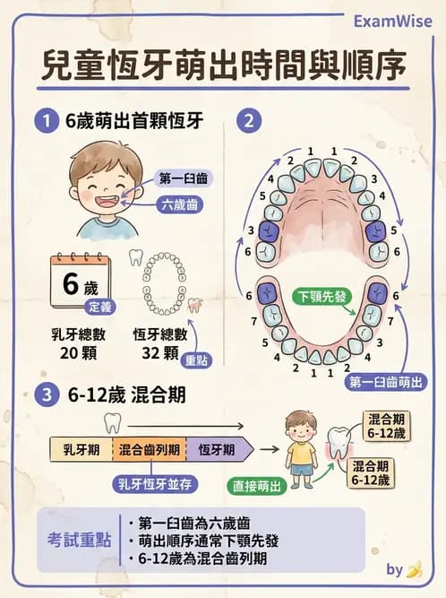 護理師 - 兒童生長發展與評估 - AI 圖文解析預覽