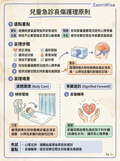 護理師 - 兒童心理與特殊照護 - AI 圖文解析預覽
