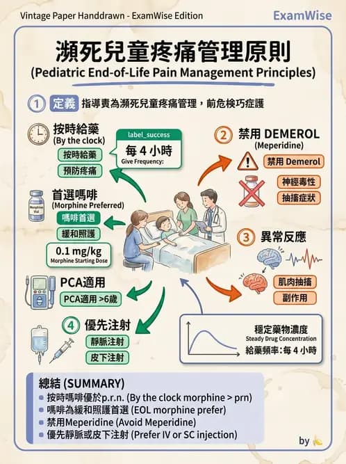 護理師 - 兒童心理與特殊照護 - AI 圖文解析預覽