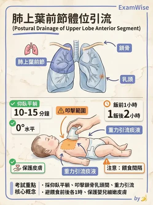 護理師 - 兒童呼吸系統疾病 - AI 圖文解析預覽