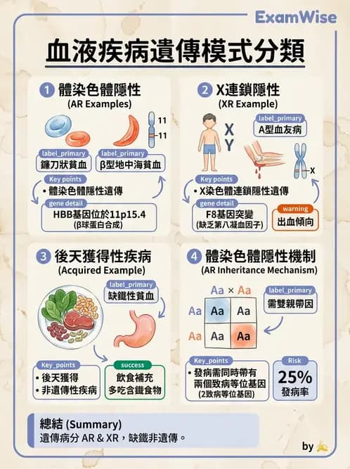 護理師 - 兒童血液與腫瘤疾病 - AI 圖文解析預覽