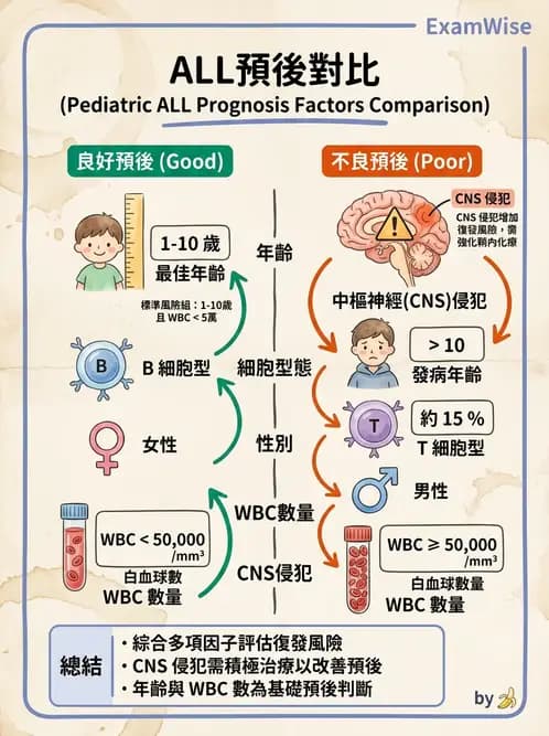 護理師 - 兒童血液與腫瘤疾病 - AI 圖文解析預覽