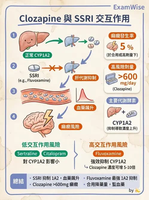 護理師 - 精神科藥物與生物治療 - AI 圖文解析預覽