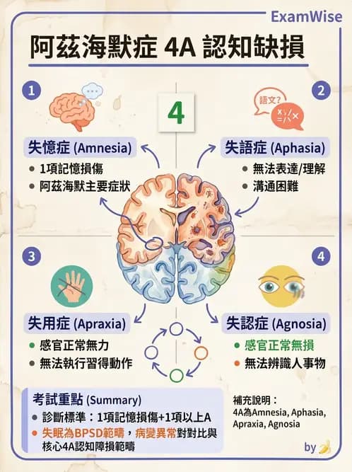 護理師 - 老年精神疾患 - AI 圖文解析預覽