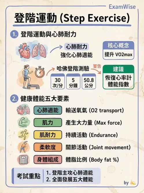 護理師 - 健康促進理論與模式 - AI 圖文解析預覽