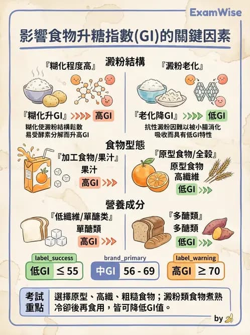 護理師 - 慢性病防治 - AI 圖文解析預覽