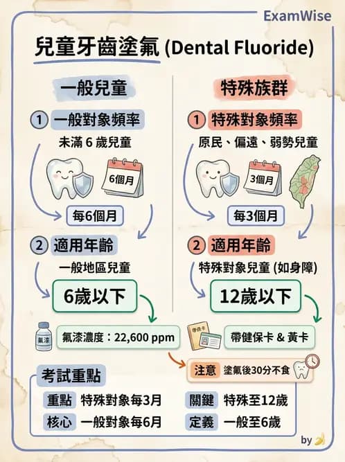 護理師 - 婦幼與青少年健康 - AI 圖文解析預覽