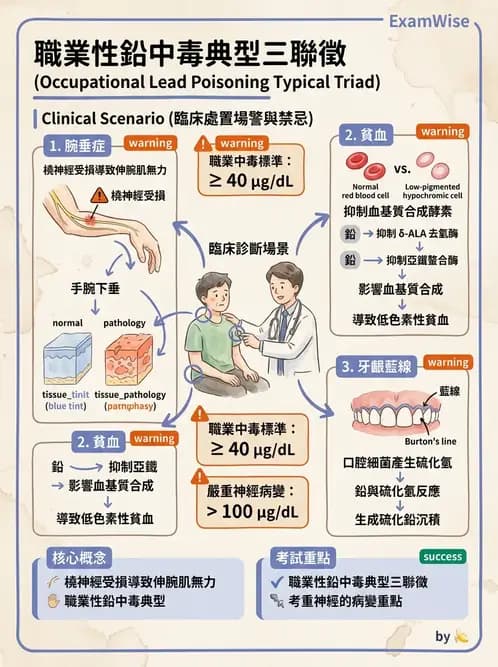 護理師 - 職業衛生護理 - AI 圖文解析預覽