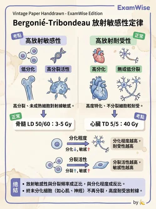 護理師 - 發炎、細胞傷害及修復 - AI 圖文解析預覽