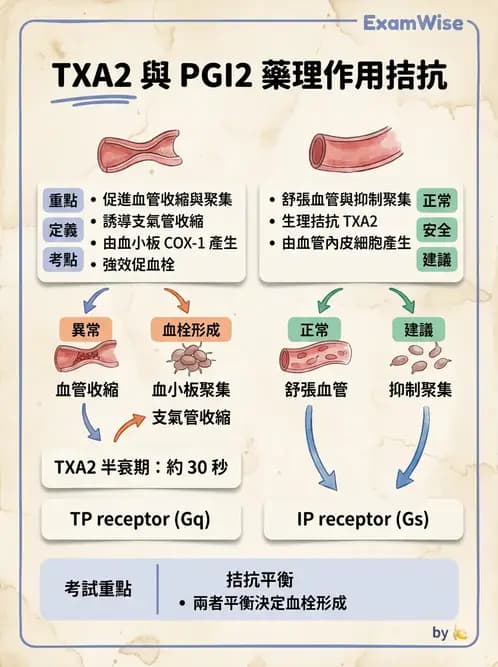 護理師 - 自泌素及藥物 - AI 圖文解析預覽