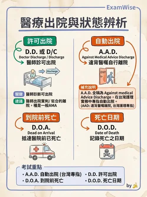 護理師 - 給藥原則與口服給藥 - AI 圖文解析預覽