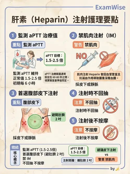 護理師 - 注射技術 - AI 圖文解析預覽