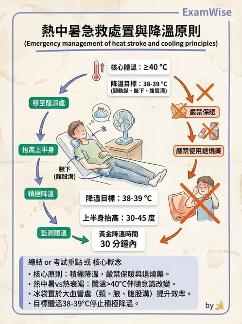 護理師 - 冷熱療法 - AI 圖文解析預覽