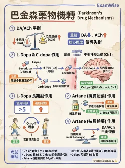 護理師 - 神經退化疾病與癲癇 - AI 圖文解析預覽