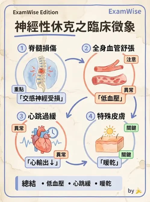 護理師 - 脊髓損傷與神經肌肉疾病 - AI 圖文解析預覽
