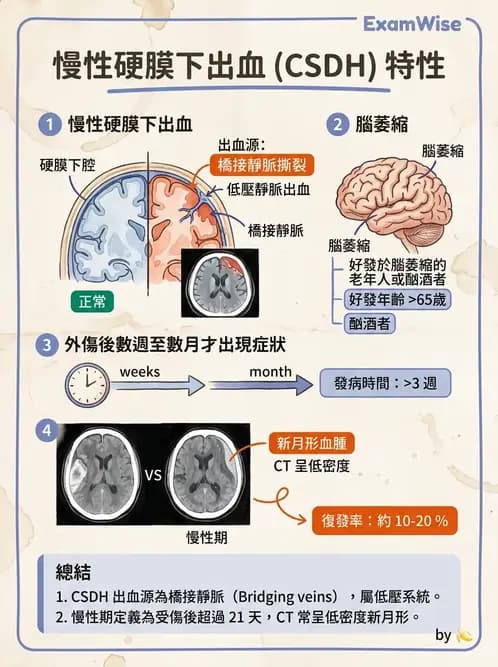 護理師 - 顱內壓升高與頭部外傷 - AI 圖文解析預覽