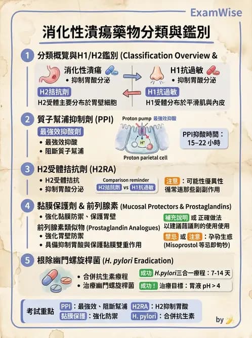 護理師 - 上消化道疾病 - AI 圖文解析預覽