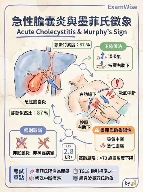 護理師 - 肝膽胰疾病 - AI 圖文解析預覽