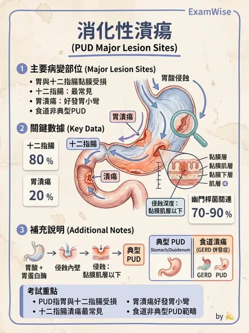 護理師 - 上消化道疾病 - AI 圖文解析預覽