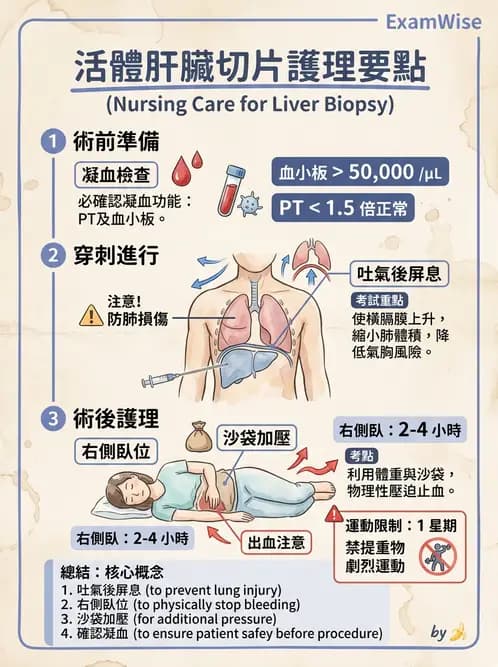 護理師 - 肝膽胰疾病 - AI 圖文解析預覽