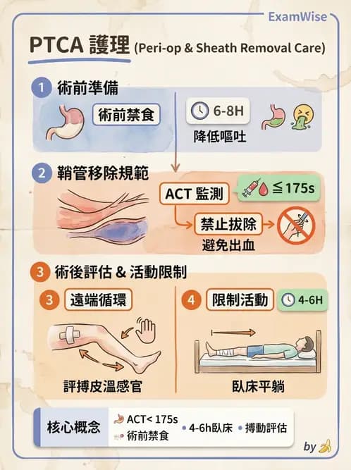 護理師 - 冠狀動脈疾病與心肌梗塞 - AI 圖文解析預覽