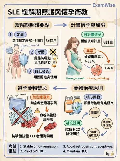 護理師 - 自體免疫疾病與過敏反應 - AI 圖文解析預覽