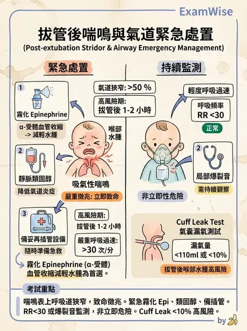 護理師 - 呼吸衰竭與胸腔護理 - AI 圖文解析預覽