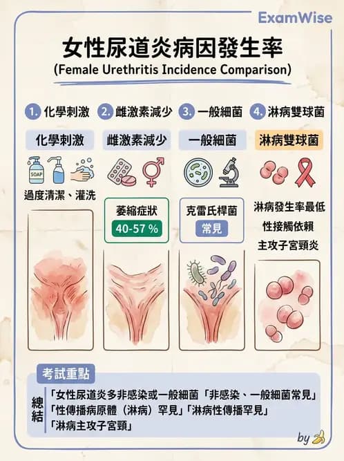 護理師 - 泌尿道疾病與排尿障礙 - AI 圖文解析預覽