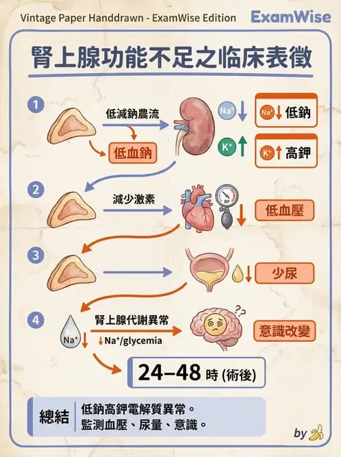 護理師 - 腎上腺與腦下垂體疾病 - AI 圖文解析預覽