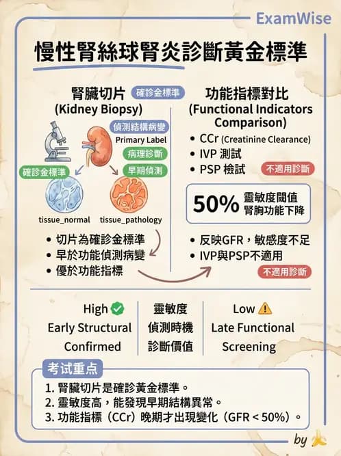 護理師 - 腎炎、腎衰竭與慢性腎臟病 - AI 圖文解析預覽