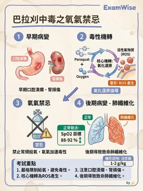 護理師 - 中毒與外傷護理 - AI 圖文解析預覽