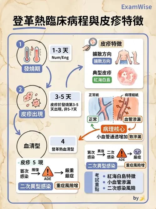 護理師 - 傳染病護理 - AI 圖文解析預覽